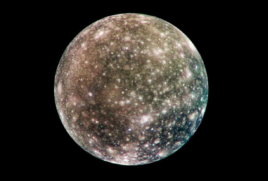 Kallisto
