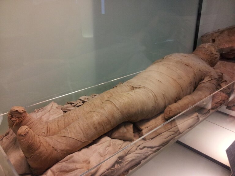 Międzynarodowy zespół naukowców przeanalizował zapach mumii, czyli zmumifikowanych ciał znajdujących się w Muzeum Egipskim w Kairze. Wyniki badań dostarczyły nowych informacji na temat starożytnej praktyki balsamacji, a w przyszłości mogą przyczynić się do prezentacji zwiedzającym dziedzictwa poprzez zapachy.