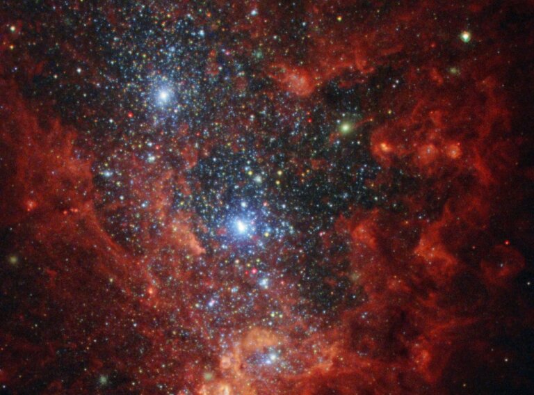 NGC 1569