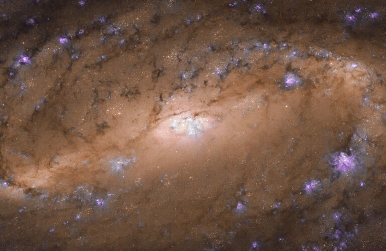 NGC 2903