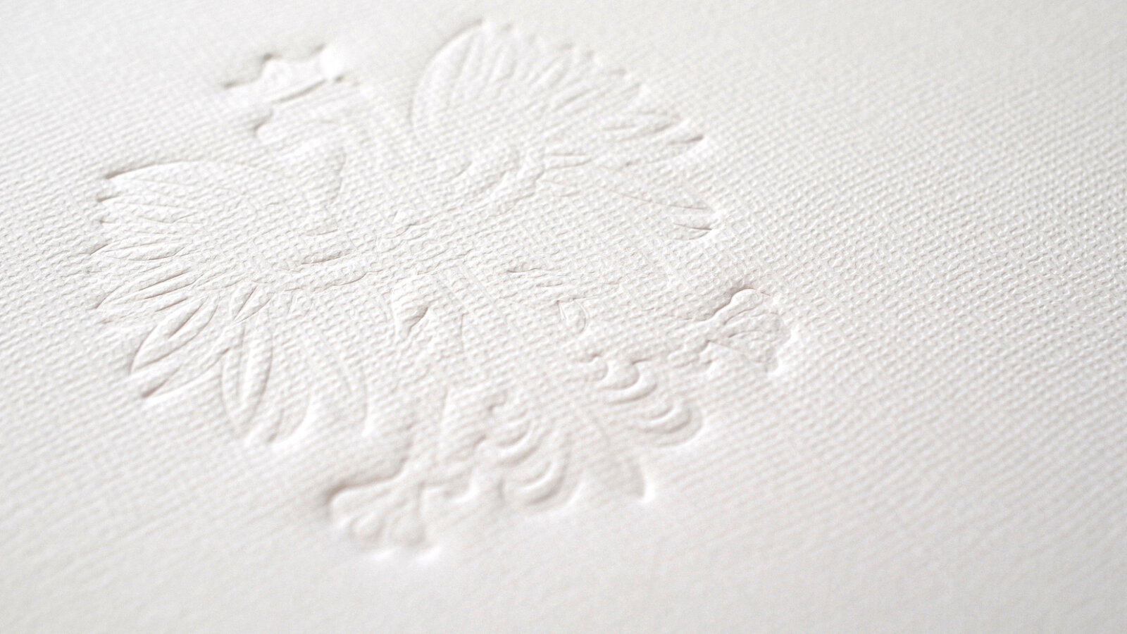 Prof. Krzysztof PAWŁOWSKI: Kiedy uwierzę w słowa Donalda Tuska