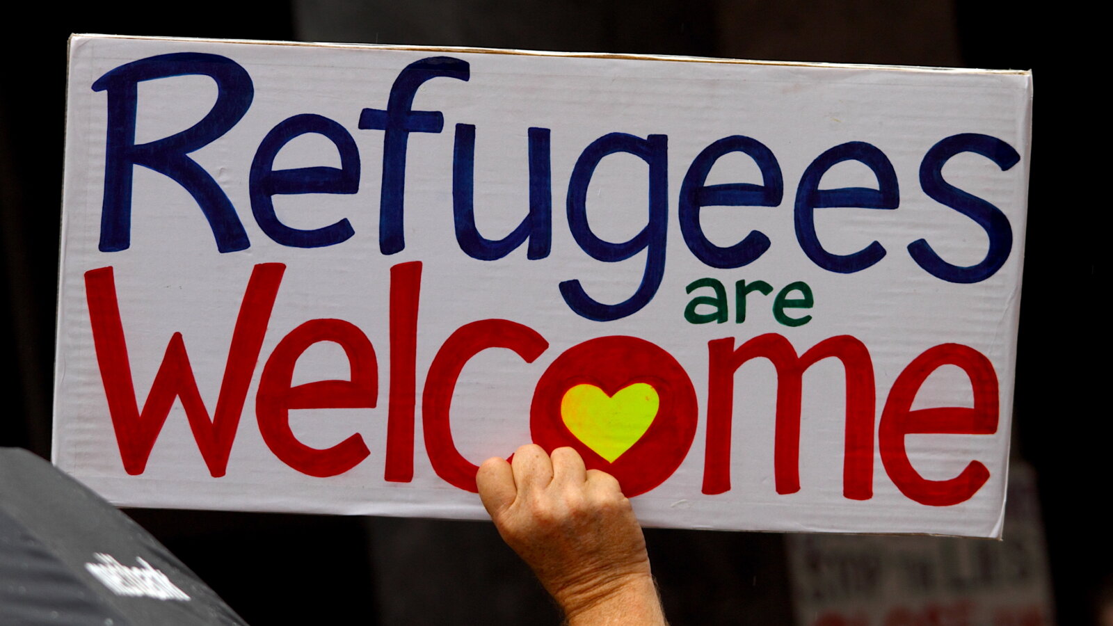 Jan ROKITA: Karasia szamotanina