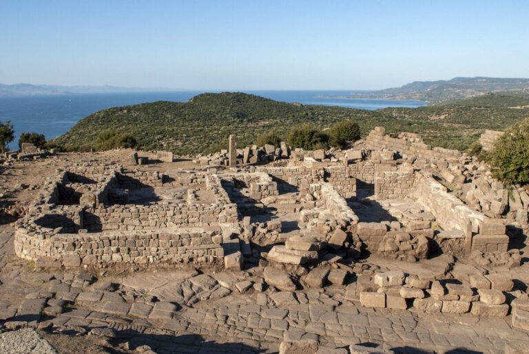Assos