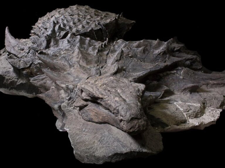 mumia dinozaura