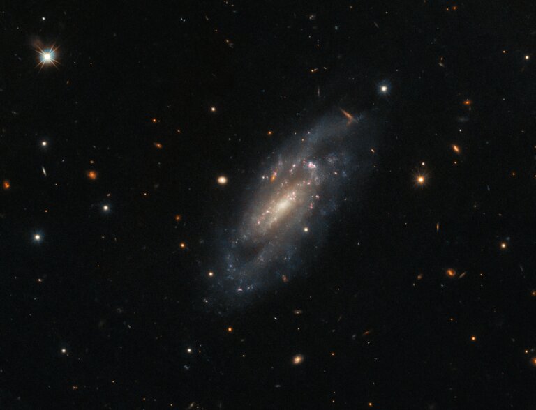 UGC 11860