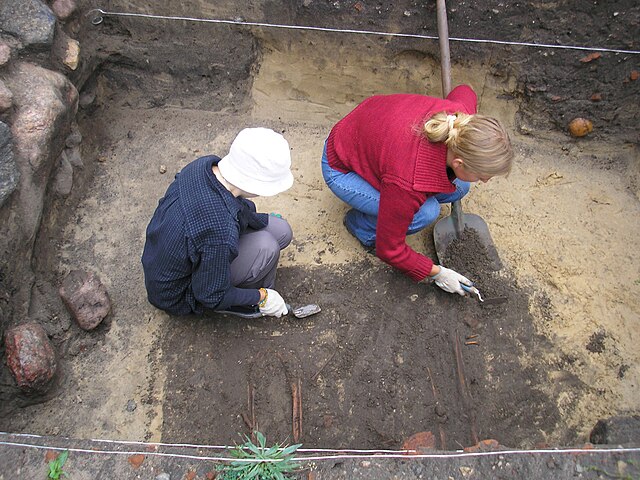 Znaleziony w Anglii, a należący najprawdopodobniej do rzymskiego gladiatora ludzki szkielet nosi ślady kłów lwa lub innego wielkiego kota. Według badaczy to pierwszy namacalny dowód na walki gladiatorów ze zwierzętami.