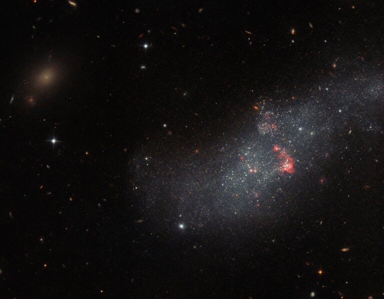 UGCA 307