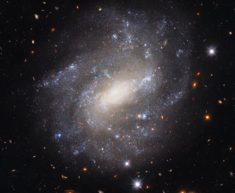 UGC 9391