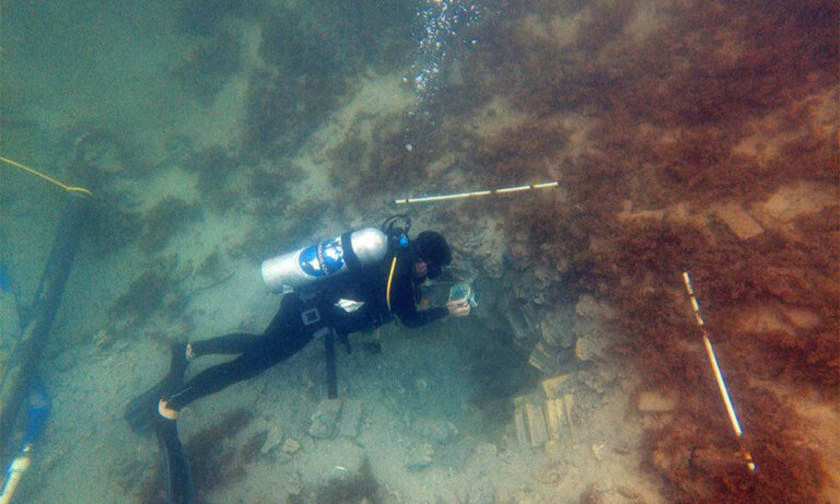 duńskie statki niewolnicze