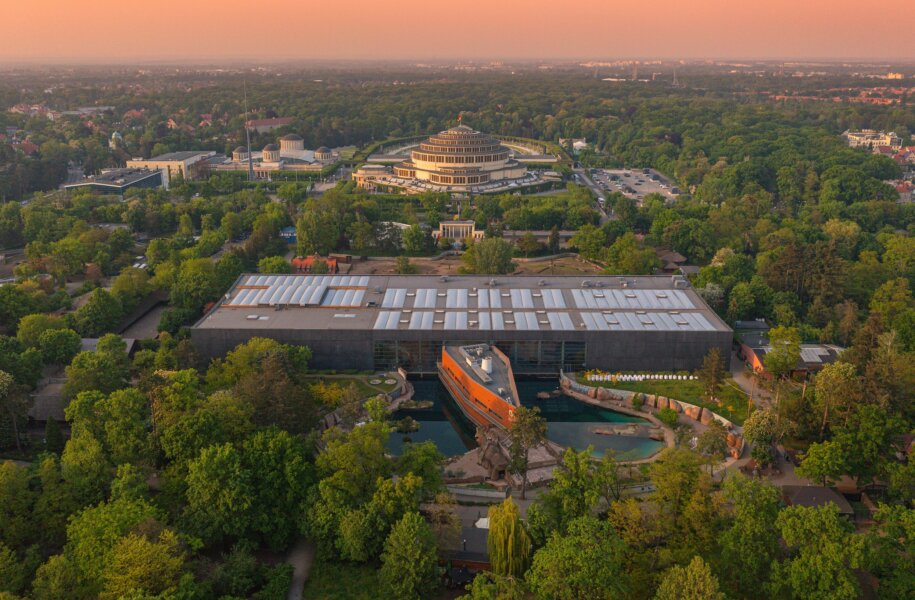 Zdjęcie okładkowe wpisu Tomasz JÓŹWIK: Opowieść o naszym zoo nie jest bajką, lecz raczej kroniką ogrodu