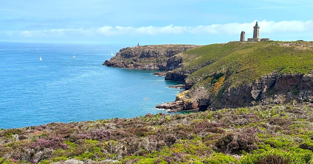 Zdjęcie okładkowe wpisu Paulina MATYSIAK: O radości odłączenia się