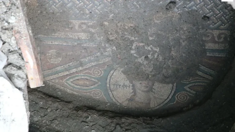 rzymska mozaika z Zile