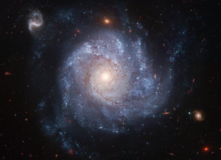 NGC 1309