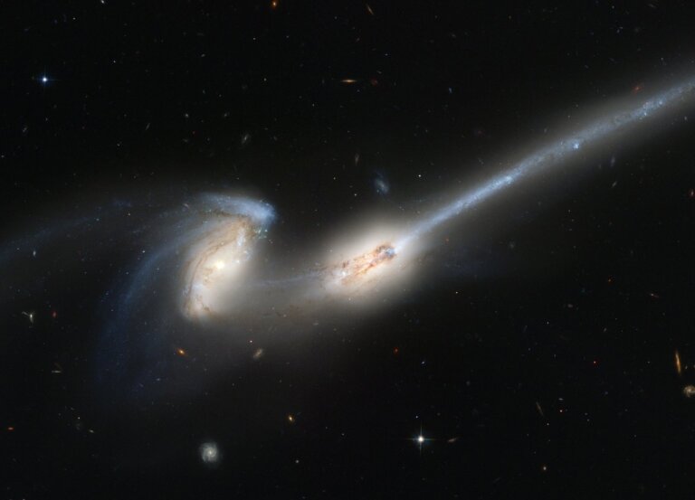 Arp 242