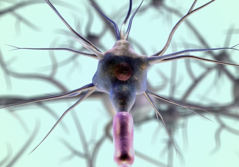 Nowe neutrony w mózgu