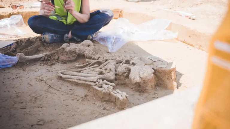 Największe prehistoryczne cmentarzysko
