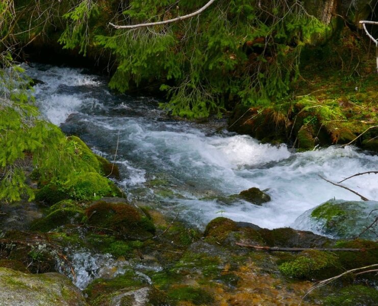 Zdjęcie okładkowe wpisu Ks. Henryk ZIELIŃSKI: Papieskie źródło