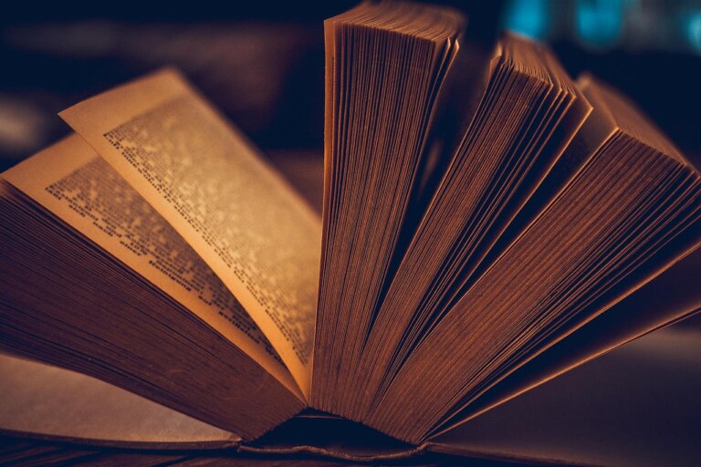Tołstoj, Tolkien, Joyce, Roth, Gombrowicz, Herbert, Różewicz to tylko niektórzy wybitni pisarze, których ominęła literacka Nagroda Nobla, zaś wiele wyborów członków Szwedzkiej Akademii po latach oceniane jest jako pomyłki. czwartek poznamy nazwisko tegorocznego laureata nagrody.