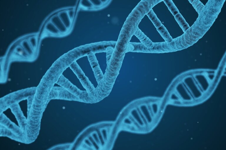 odczytać wiek z DNA