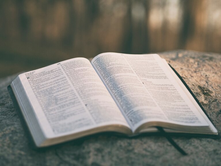Ekumeniczne Święto Biblii