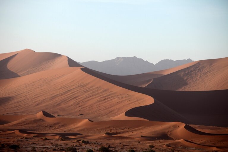 Sahara to jedno z najbardziej suchych miejsc na Ziemi, jednak do końca wieku, w związku z ociepleniem klimatu, na Saharze może tam spaść nawet o 75 proc. więcej deszczu niż obecnie - twierdzą naukowcy. Zmiany dotkną miliardy ludzi, nie tylko w Afryce.