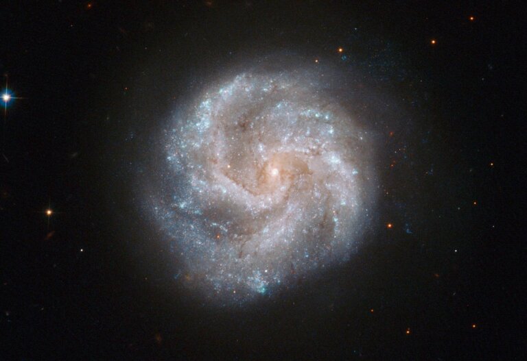 IC 391