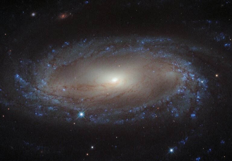 IC 2560