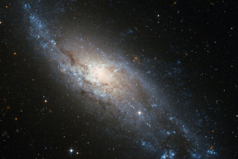 NGC 406