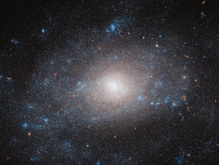 NGC 5585