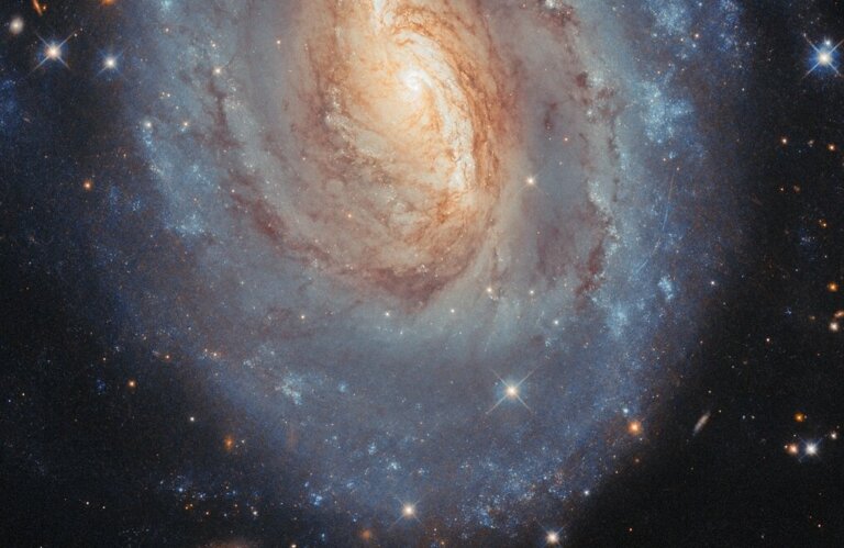NGC 6000