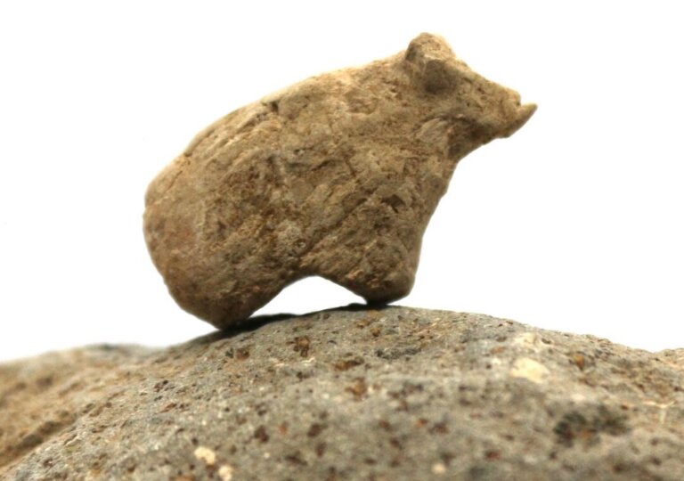 Prehistoryczna kolekcja figurek