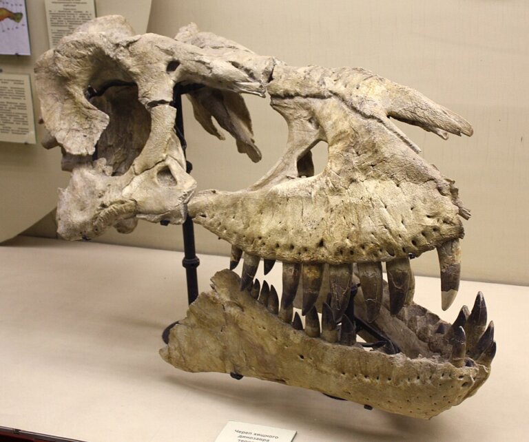 Tarbozaur