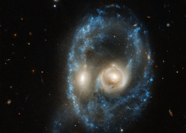 Arp-Madore 2026-424