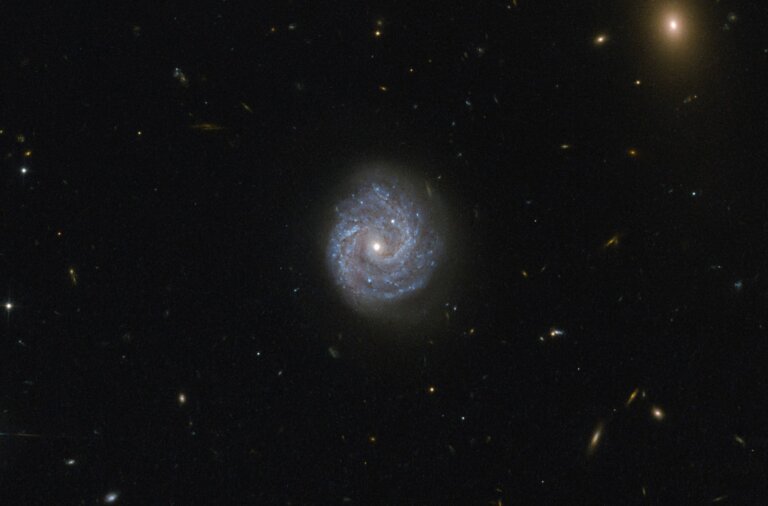 LEDA 1245565