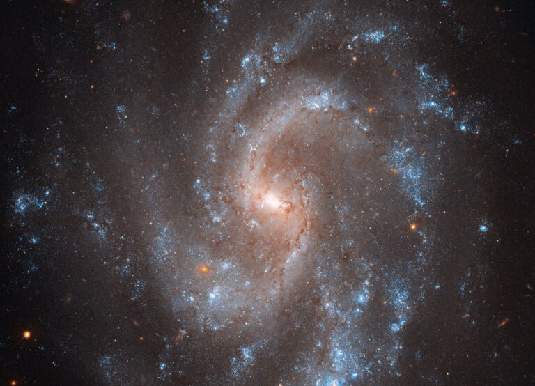 NGC 5584