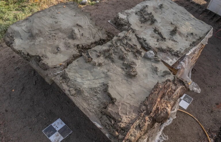 neolityczny pochówek psa