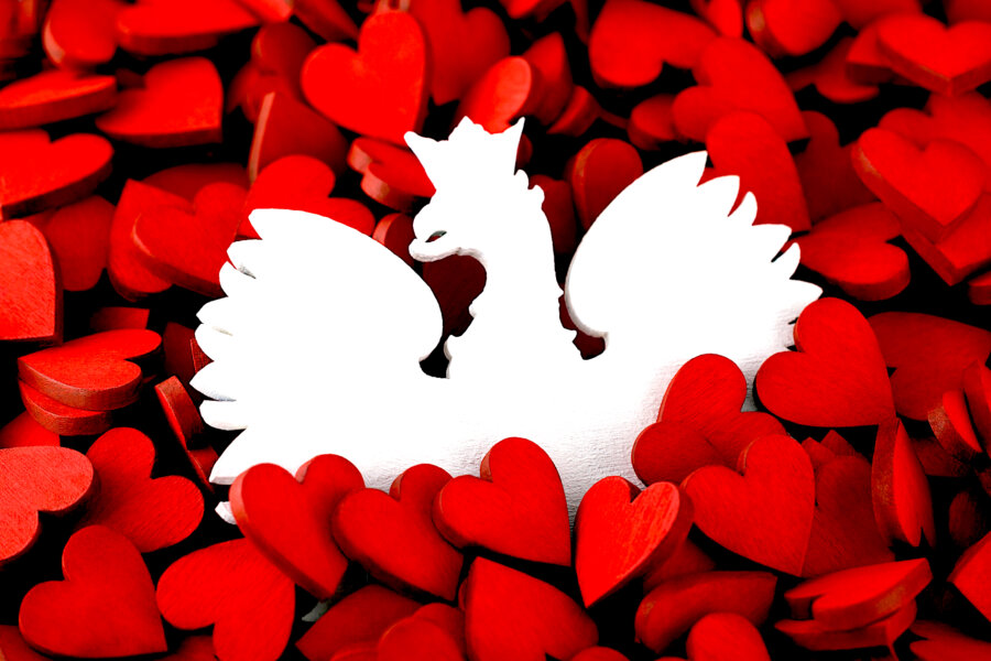 Zdjęcie okładkowe wpisu Waldemar BINIECKI: Pax Polonica. Utracony ład, odzyskiwana odpowiedzialność