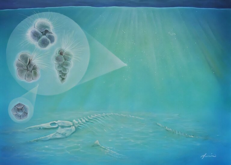 ewolucja po wymarciu dinozaurów