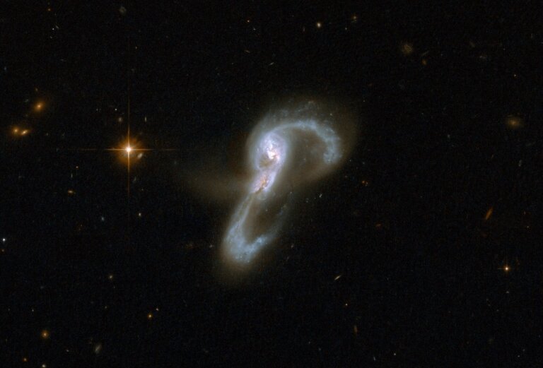 Markarian 848