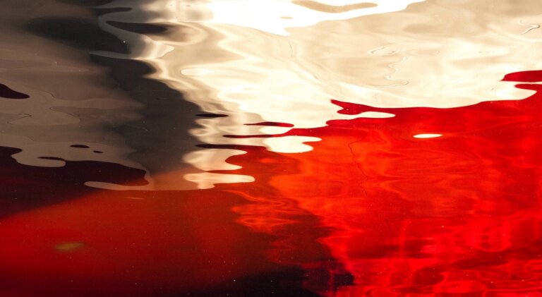 Prof. Andrzej NOWAK: Zacznijmy rozmawiać w sposób partnerski