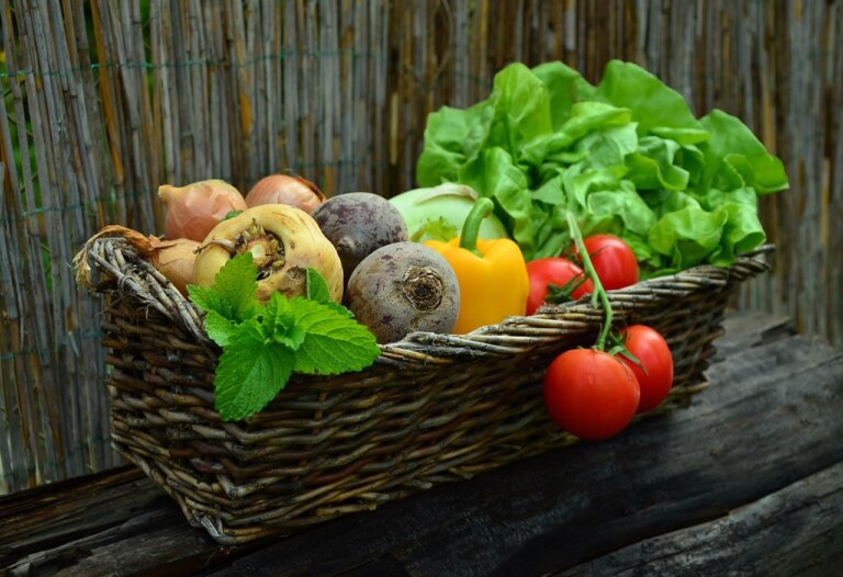 Eksperci Komisji EAT-Lancet nie mają wątpliwości, zmiana sposobu odżywiania w kierunku diety opartej głównie na roślinach może jednocześnie poprawić zdrowie ludzi i ograniczyć presję na środowisko. Najnowsza aktualizacja tzw. diety zdrowia planetarnego pokazuje, że mniej mięsa oznacza realne korzyści zarówno dla organizmu, jak i klimatu.