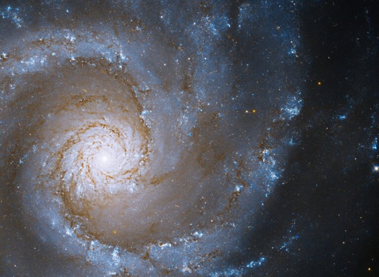 NGC 3631