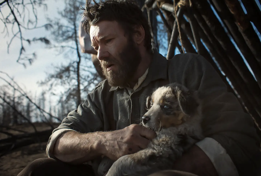 Zdjęcie okładkowe wpisu Margot ROUSSEAU: Kto zdobędzie Oscara 2026? Elegia czy bunt?