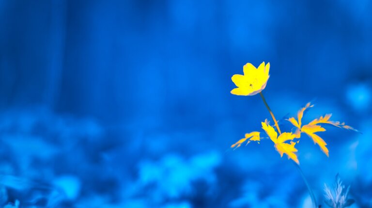 Michał KŁOSOWSKI: Dostęp do rzeczywistości jest dziś luksusem