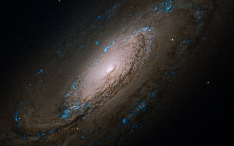 NGC 5005