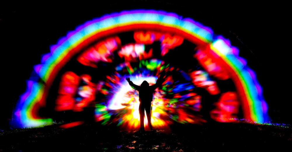 Zdjęcie okładkowe wpisu Margot ROUSSEAU: Michel Houellebecq i histeria w Berlinie