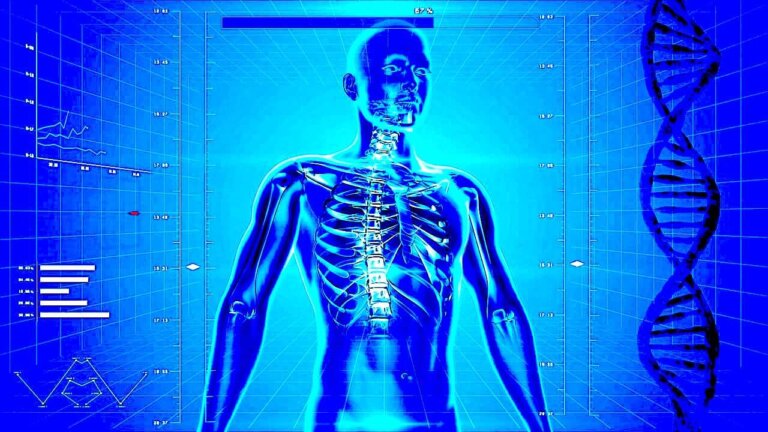 Międzynarodowy zespół naukowców i klinicystów ogłosił w czasopiśmie „Science Advances”uruchomienie otwartego portalu 3D, który umożliwia użytkownikom badanie nienaruszonych ludzkich narządów z niespotykaną dotąd szczegółowością – od całego narządu po pojedyncze komórki.