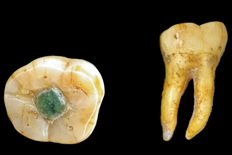 Analiza DNA ludzkich szczątków z cywilizacji Majów wskazuje na nieznany wcześniej rytuał. Zęby, należące do członków elitarnych rodów, po śmierci tych osób przenoszono do jaskini w trudno dostępnych górach w Belize. Od głównego miejsca pochówku oddalona była o ponad 26 kilometrów.