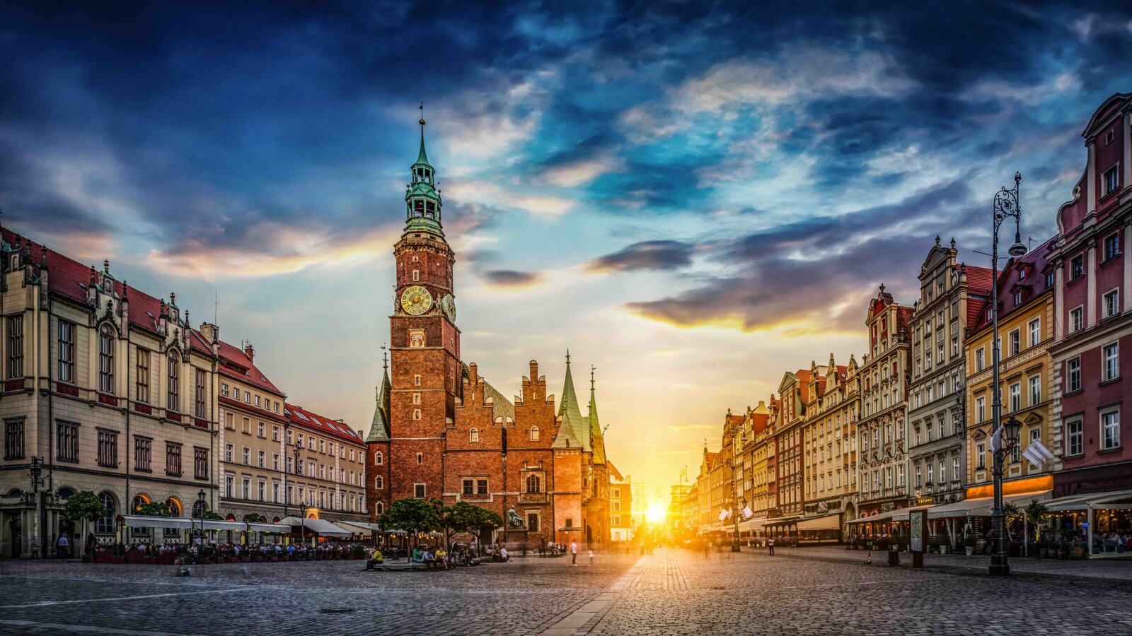 Jolanta PAWNIK: Drzewa wracają na Rynek. Zielona historia serca Wrocławia