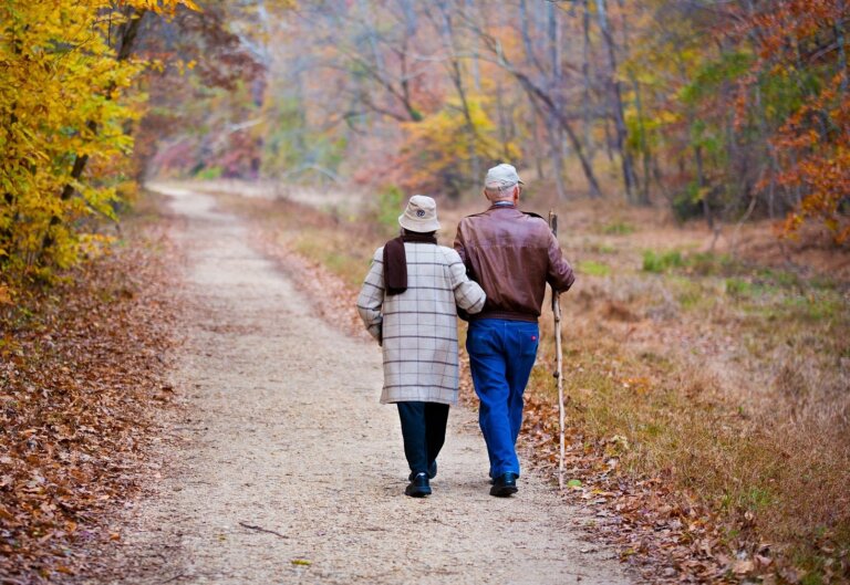 Jak zmniejszyć ryzyko demencji